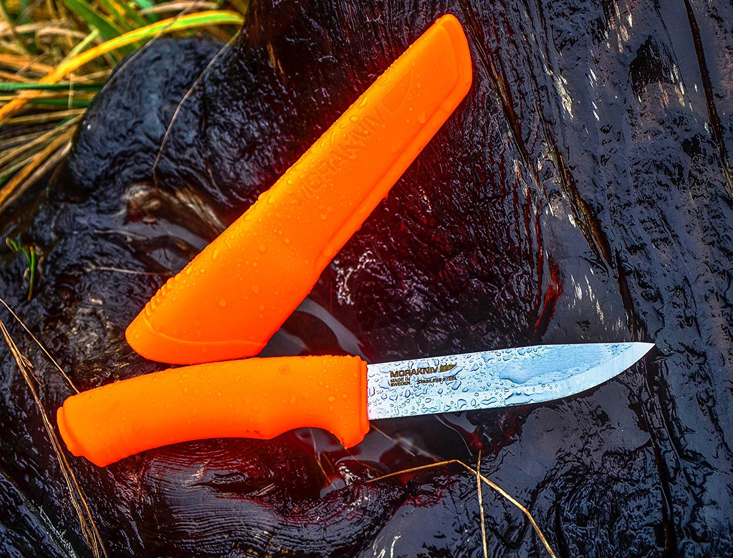 Morakniv bushcraft